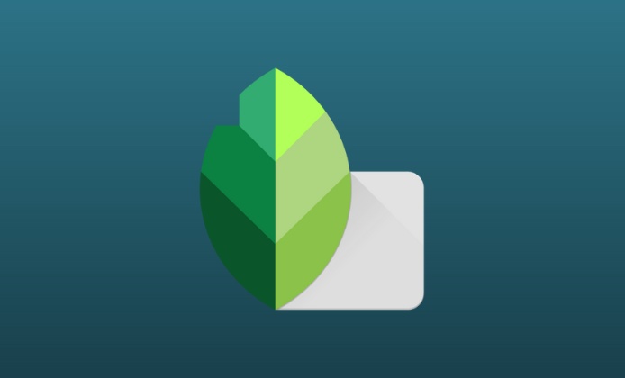 Snapseed on iPad: Exploring Features and Functionality