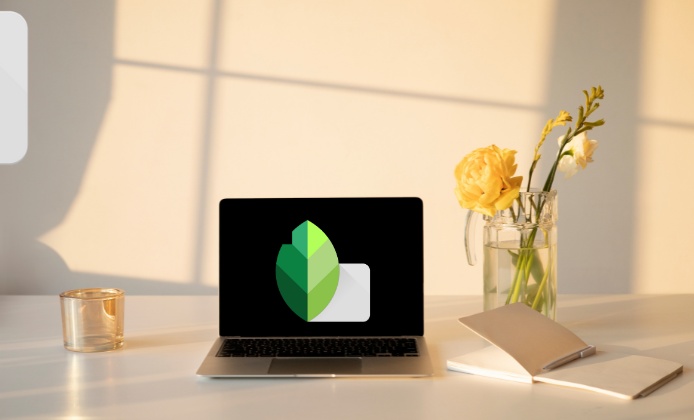 Mastering Snapseed on Chromebook